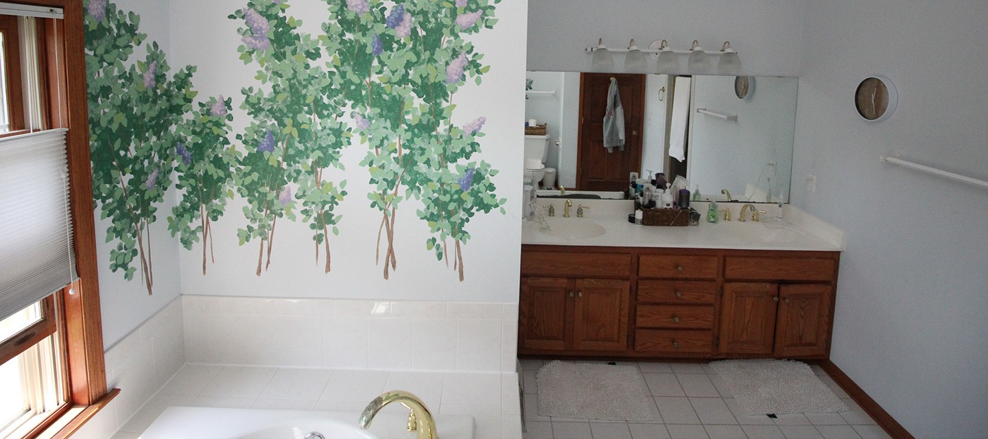 Bathroom Before