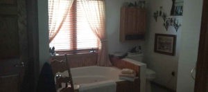 Bathroom Before